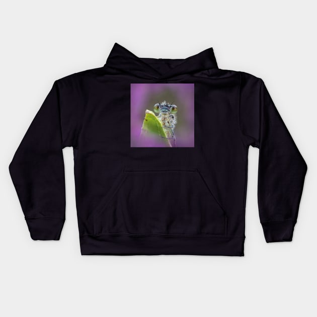 Blue-tailed Damselfly Kids Hoodie by TonyNorth